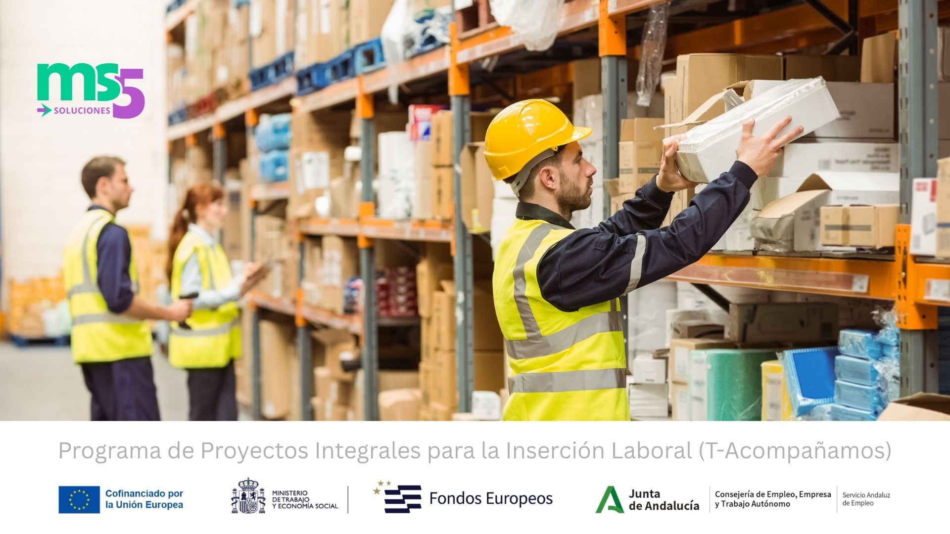Cursos gratuitos para encontrar trabajo en Málaga y Sevilla este verano - MS5 Soluciones.